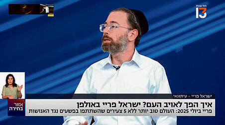 דמגוגיה מגוחכת. "אזור בחירה" דמגוגיה מגוחכת. "אזור בחירה"