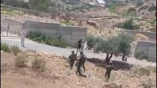 הלכו אחרי העדר: 6 פלסטינים נפצעו בעימות עם מתנחלים מצפון לרמאללה
