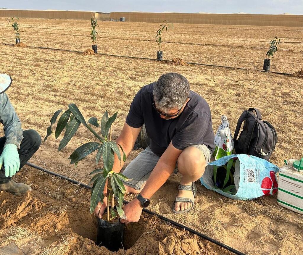 מהחקלאי לצרכן: שטחי הגידול של ירק השדה בתלמי יוסף (צילום: ירק השדה) צילום: ירק השדה