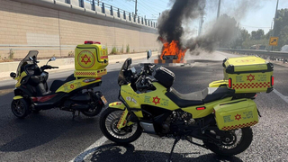צילום: גיל נחושתן                