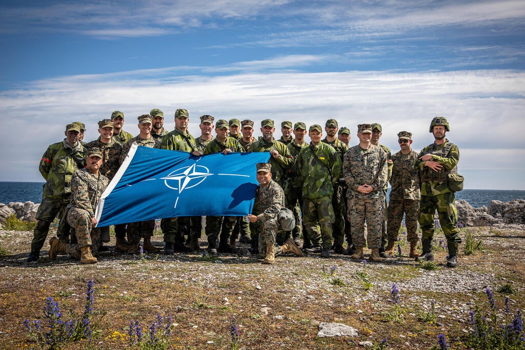American and Swedish troops pose for a group photo during a 2024 NATO exercise on Sweden’s Gotland island in the Baltic Sea (Photo: US Marine Corps photo by Sgt. Andy Martinez) חיילים אמריקנים ושבדים בצילום קבוצתי במהלך תרגיל של נאט"ו באי גוטלנד השייך ל שבדיה בים הבלטי ארכיון 2024