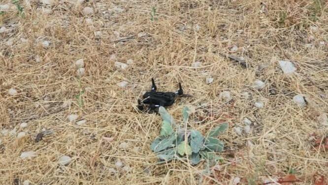 אחרי בדיקה שנערכה: הרחפן שנפל סמוך לביתו של בן גביר שייך לנער שגר בשכונה