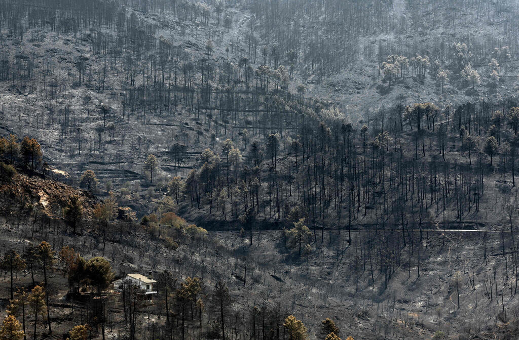 ההרס הרב בשריפת הענק באווילה (צילום: Pierre-Philippe MARCOU / AFP) הרס בעקבות שריפה באזור אווילה ספרד