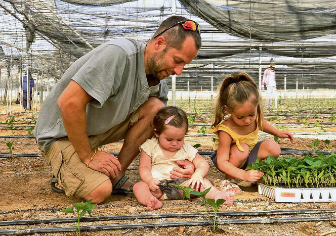 השותלים של פארן. עסק משפחתי