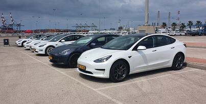 צילום: אודי עציון
