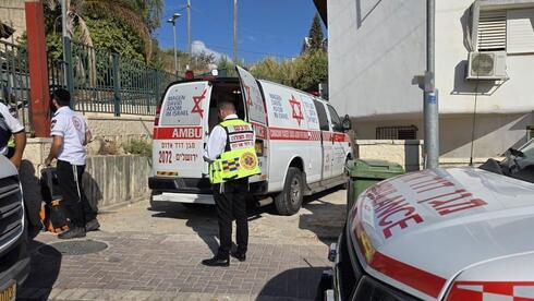 7-year-old stabbed to death at birthday party in Beit Shemesh; neighbor arrested