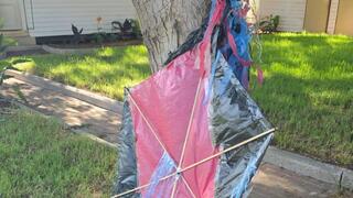 The kites have returned to the envelope, residents in déjà vu: "If we start containing again - they will eat us alive"