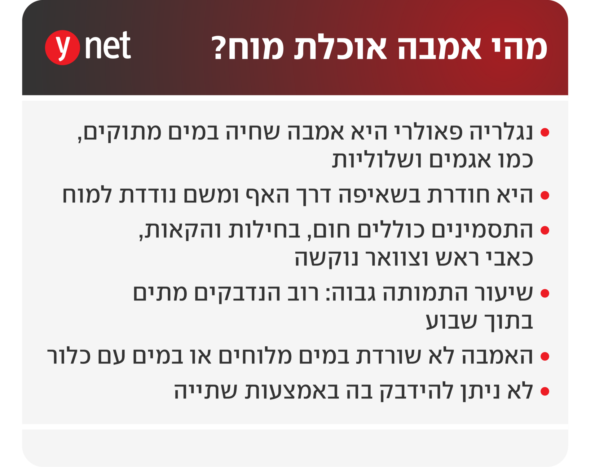 אינפו אמבה אוכלת מוח נגלריה פאולרי אינפו אמבה אוכלת מוח נגלריה פאולרי