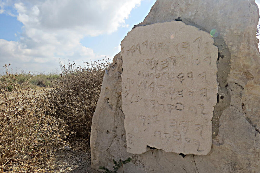 לוח גזר