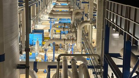 Algae crisis forces Israel to pay 50% more for desalinated water