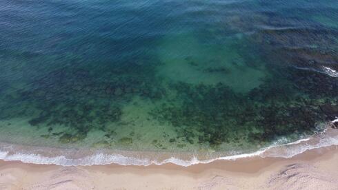 Israel desalination crisis deepens as algae spread