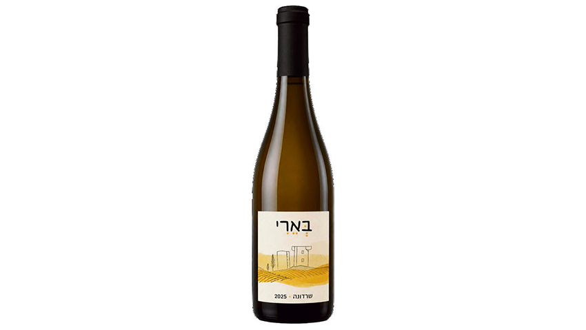 היין של יקב בארי. כבר ניתן לרכישה היין של יקב בארי. כבר ניתן לרכישה