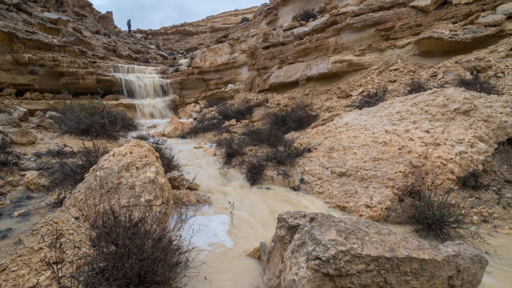 שיטפון בדרום הארץ (צילום: Oren Ravid / Shutterstock) שיטפון בדרום הארץ