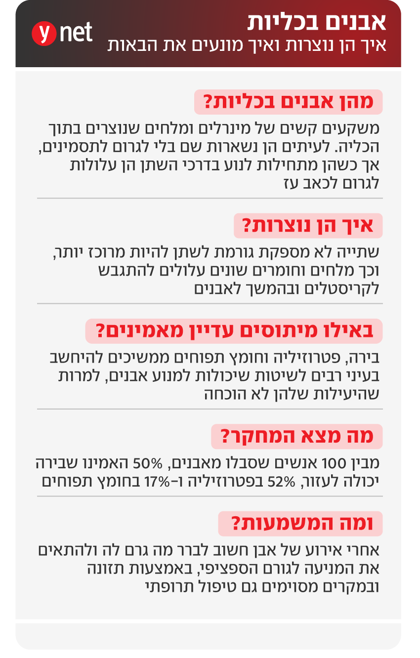 אינפו אבנים בכליות אינפו אבנים בכליות