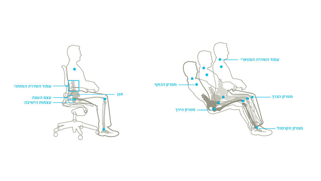 PITARO (צילום: Herman Miller ) PITRO