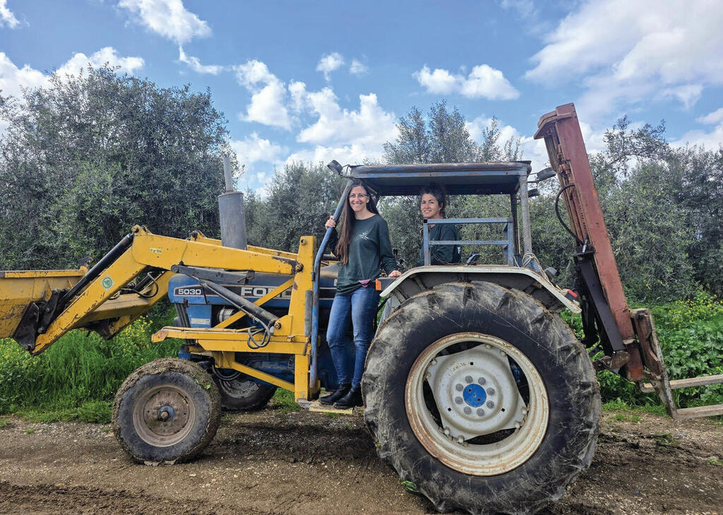 דיתי ואיה רויניק. חזרו אל השורשים (אורנה בן חיים) דיתי ואיה רויניק. חזרו אל השורשים