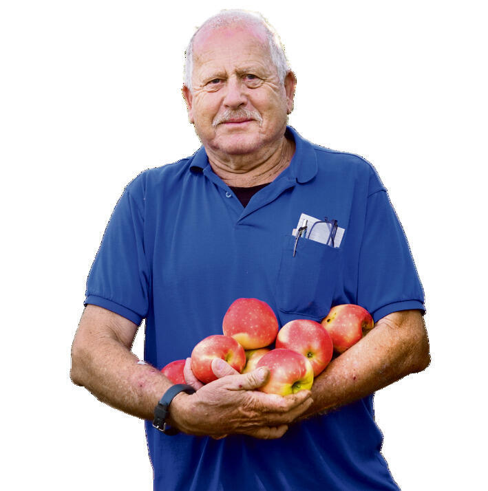 אפי שריר