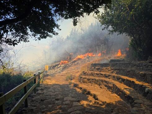 ביום האחרון של החג: שריפה פרצה בשמורה באצבע הגליל, המטיילים פונו | תיעוד