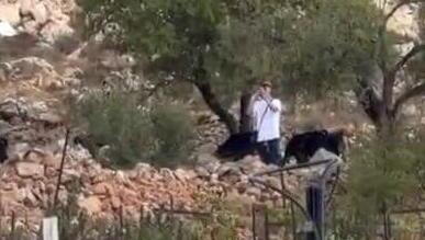 מתוח ביו"ש: פלסטינית הותקפה במקל, עימותים באזור רמאללה | תיעוד