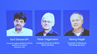 Nobel Prize in Medicine to be awarded to optogenetics researchers who sparked a revolution in brain research