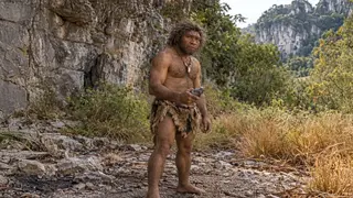 A glimpse into the life of the Denisovan human