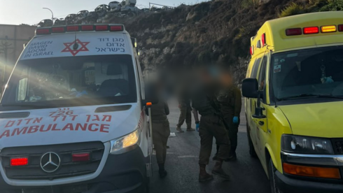 איטליה דורשת מישראל לשחרר חמישה פעילים שנעצרו במסיק זיתים ביהודה ושומרון