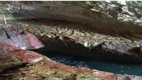 Red algae thrive on as little as 0.5% sunlight in caves on Israel's Lebanon border