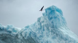 The glacier moves, the water is frozen: the dangerous jump that ended in drama | Watch