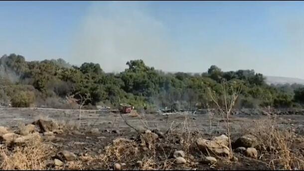 כבאות והצלה: השריפה בשמורת הטבע תל דן "בהכלה"