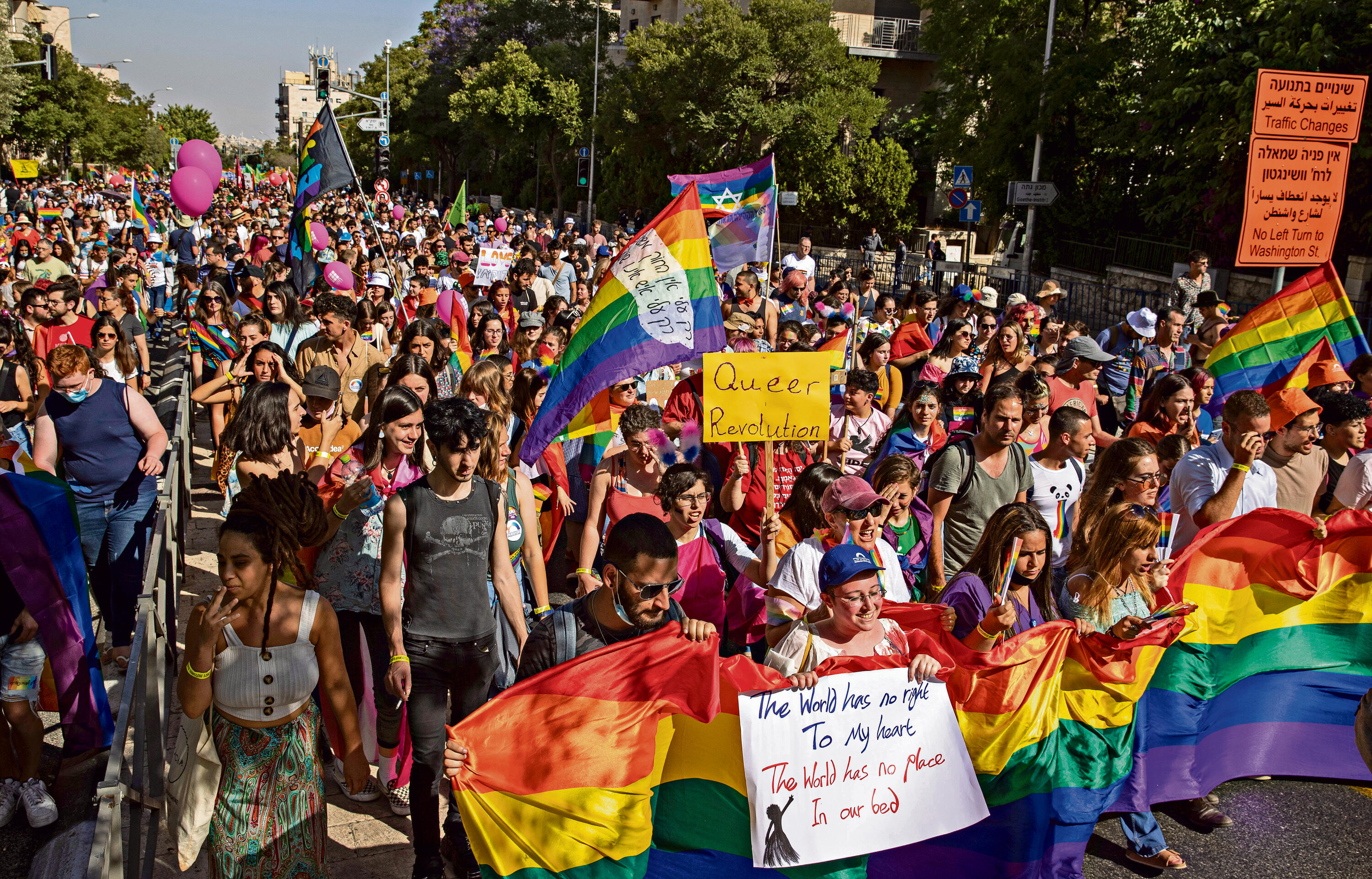 Тәжік бөксесінің фотосы