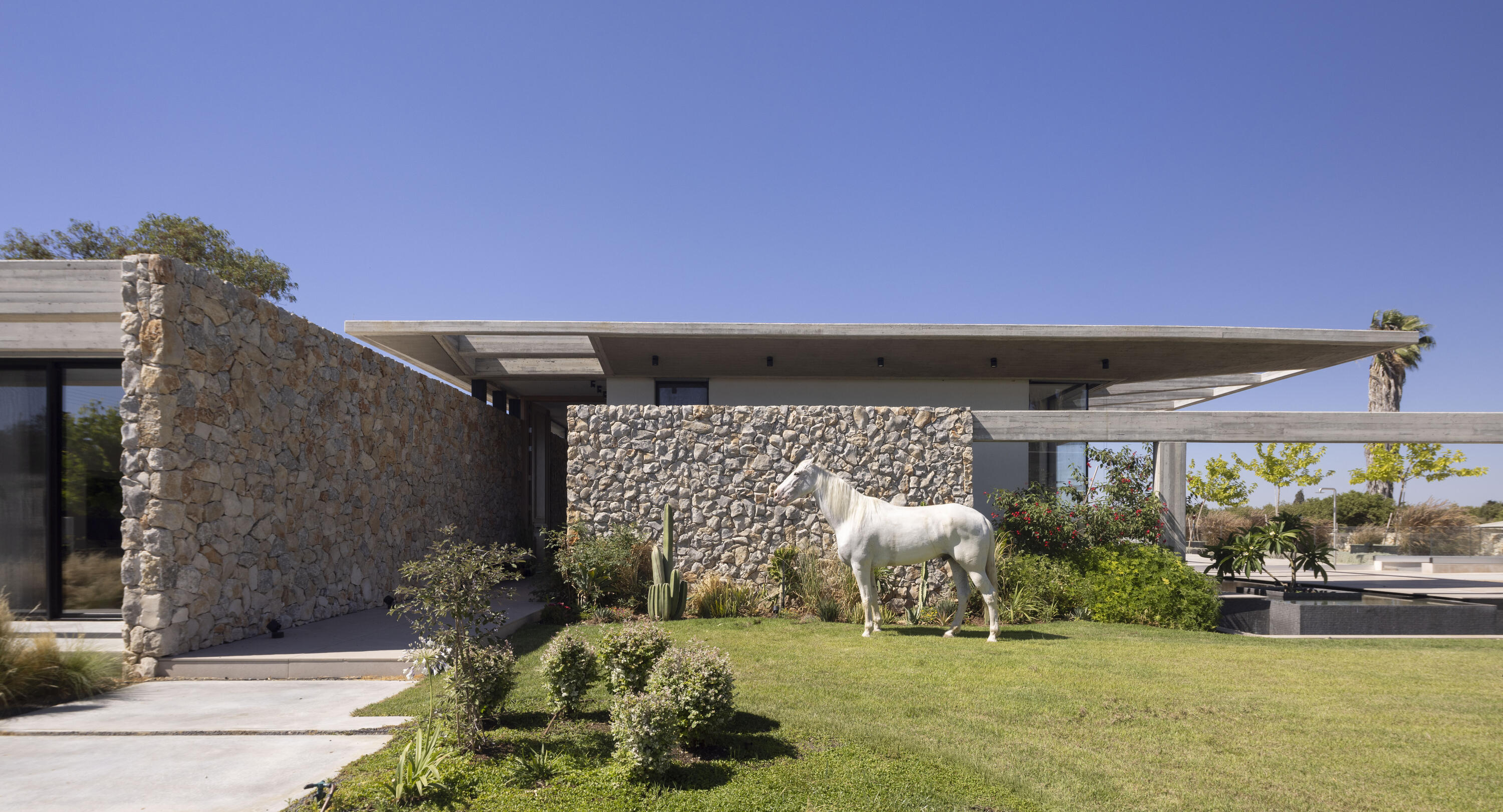 Modern family living: how one Israeli couple built a minimalist oasis on  farmland