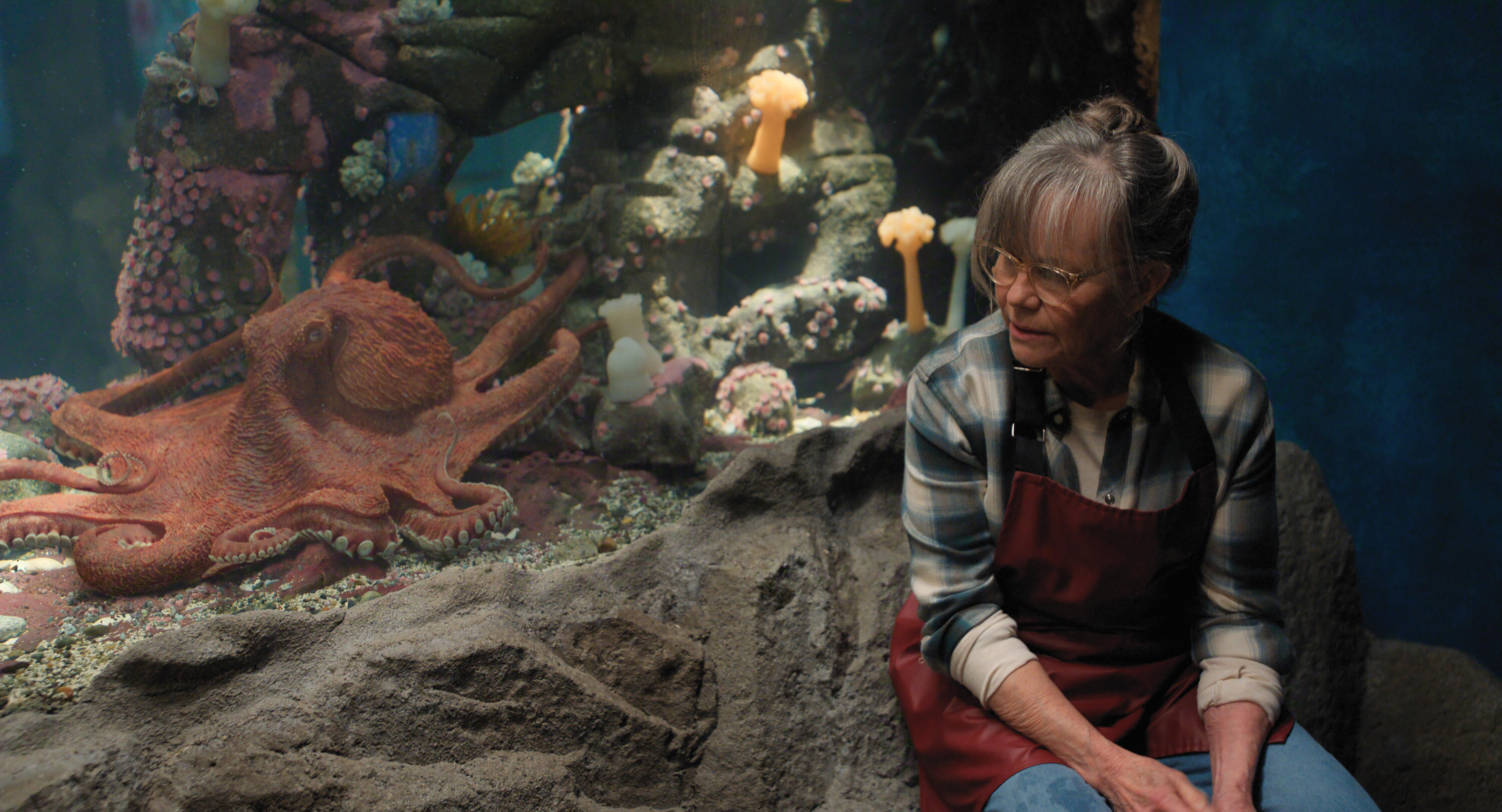 Talking octopus, Sally Field and over-the-top twist: 'Remarkably Bright Creatures' is