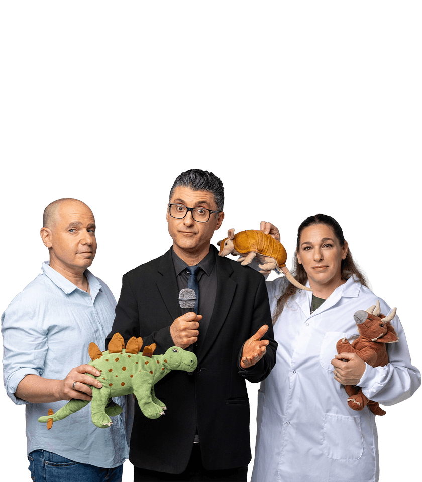 דודו ארז, יגאל שפירא וורד שפירא